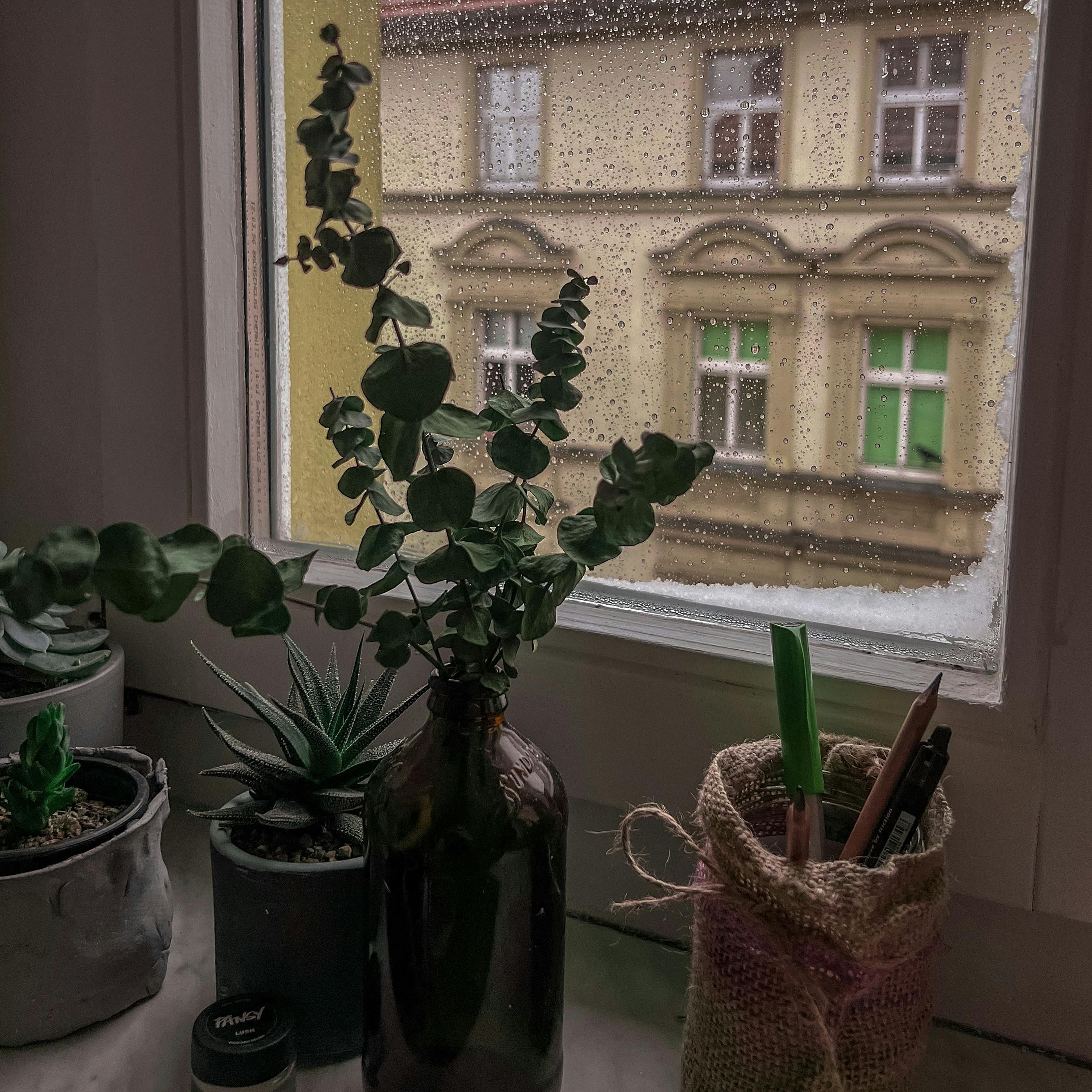 Melyik helyiségbe milyen ablakpárkány illik? Segítünk eligazodni 